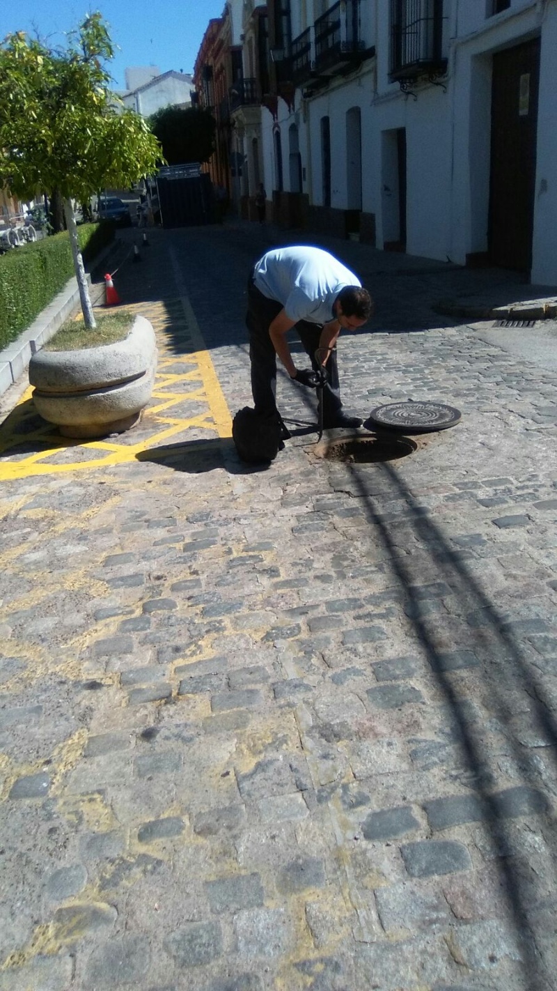 Campaña fumigación Constantina junio 2017 (23)