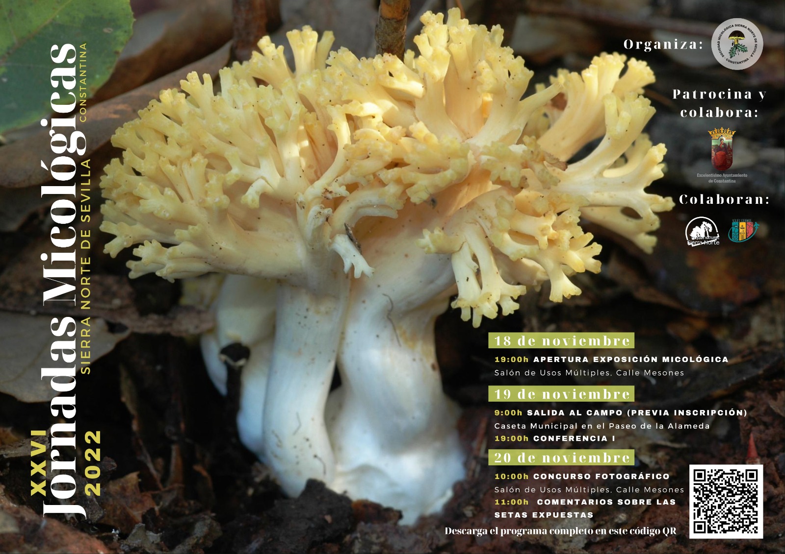 Jornadas Micológicas Constantina 2022_Cartel