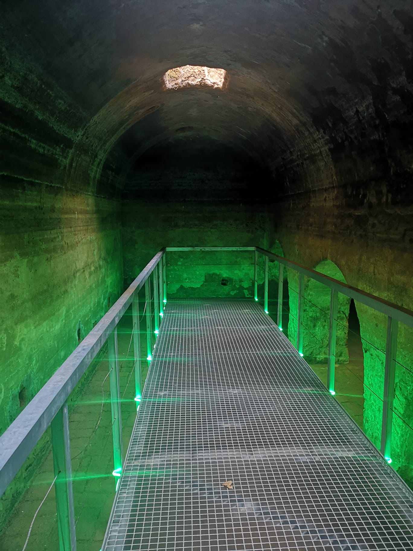 WhatsApp Image 2022-10-20 at 11.39.46(2)