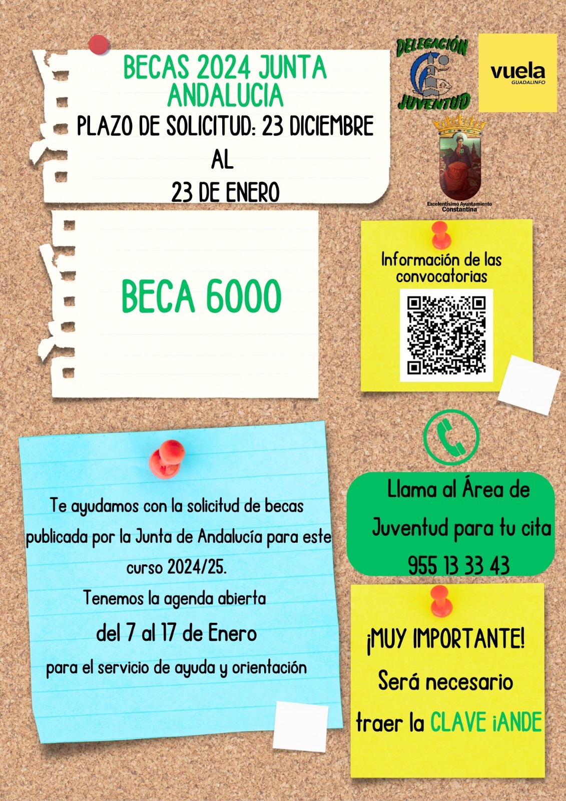 WhatsApp Image 2024-12-26 at 11.13.09