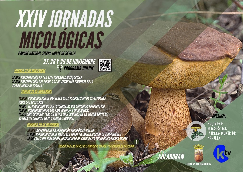 XXIV Jornadas Micológicas Constantina 2020