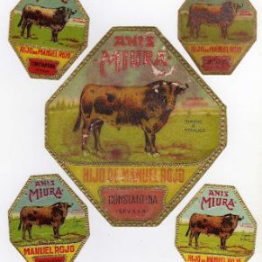 ANIS MIURA CONSTANTINA