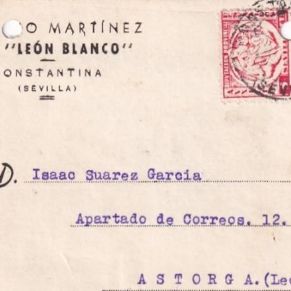 anis león blanco constantina2