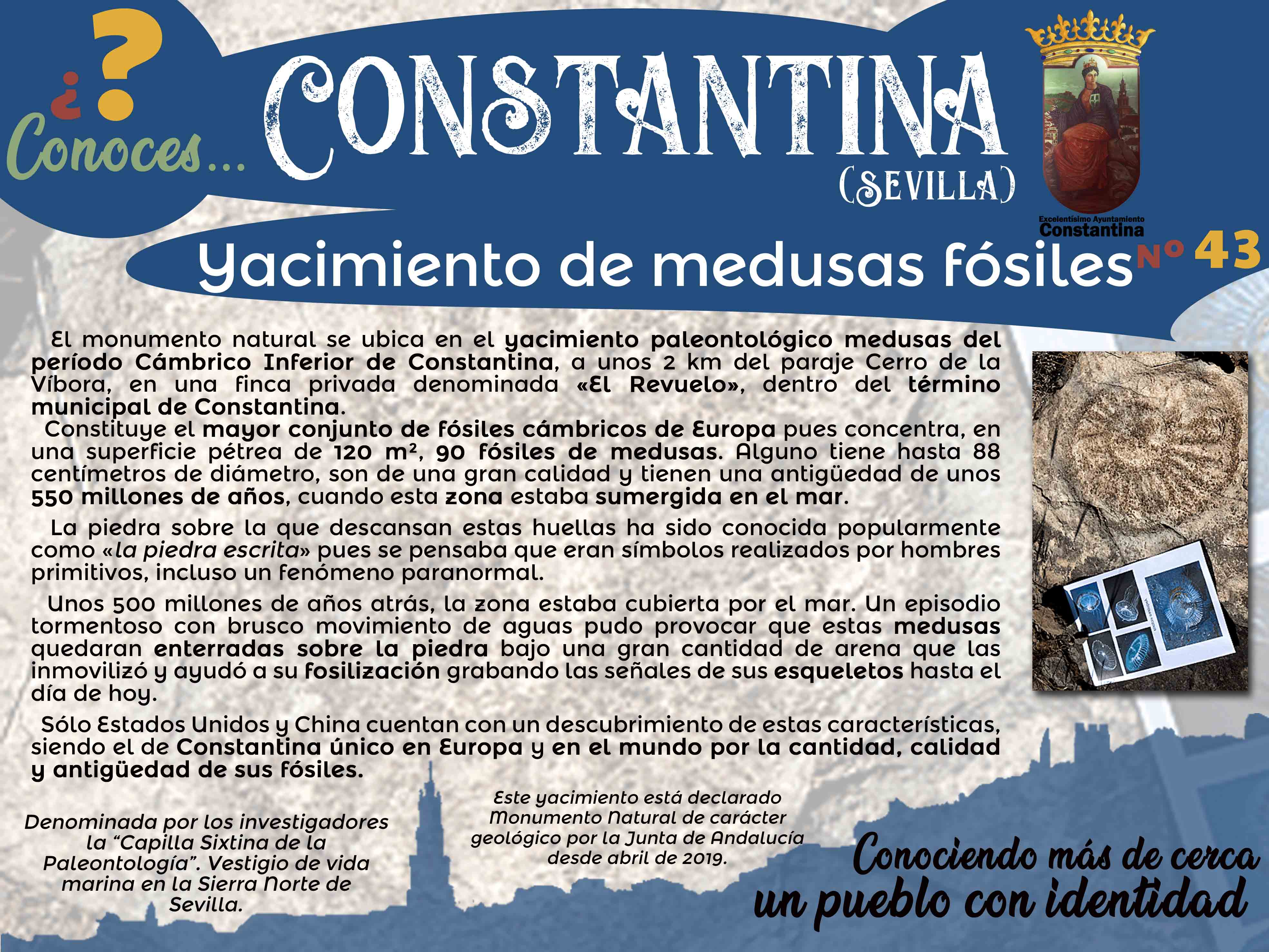 43 Yacimineto de medusas fósiles Constantina