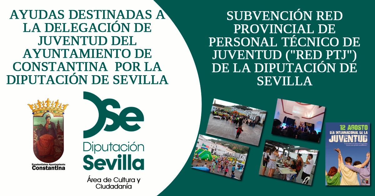 Ayudas a delegación Juventud de Diputación2
