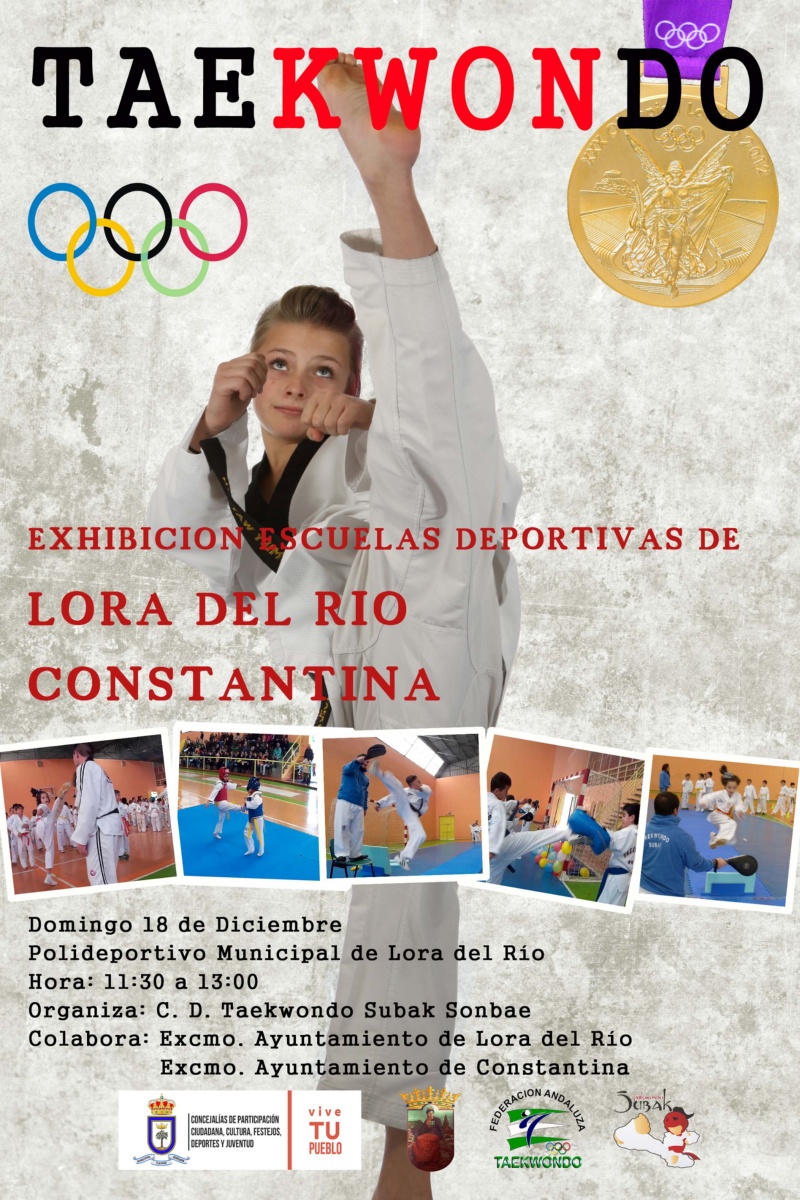 Exhibición taekwondo Constantina 2016