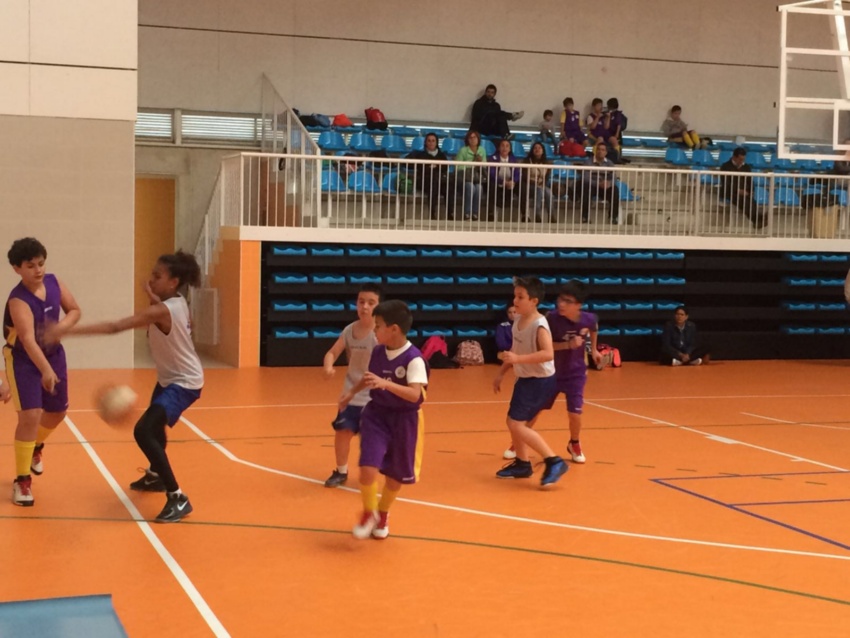jjddpp baloncesto y voleibol (7)
